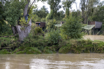 France, Loire Atlantique, Bouguenais, Port Lavigne on the banks of the Loire river, Estuaire open-air contemporary art collection, The Settlers (“Les Colons”) created by American artist Sarah Sze, sculpture of a bear cub climbing a tree, fishing huts on stilts (Carrelet) in the background