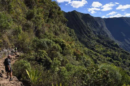 France, Ile de la Reunion, Parc National de la Réunion classé Patrimoine Mondial de l'UNESCO, La Possession, vers le village de Dos d'Ane, randonnée de la Roche Bouteille, le randonneur François Gaulin sur le sentier Cap Noir et le Cirque de Mafate à droite