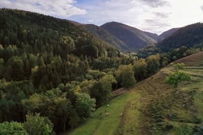 France, Haut-Rhin (68), Parc naturel r
