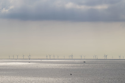 France, Loire-Atlantique (44), Estuaire de la Loire, Saint-Nazaire, le parc éolien en mer de Saint-Nazaire vu depuis la Pointe de l'Eve