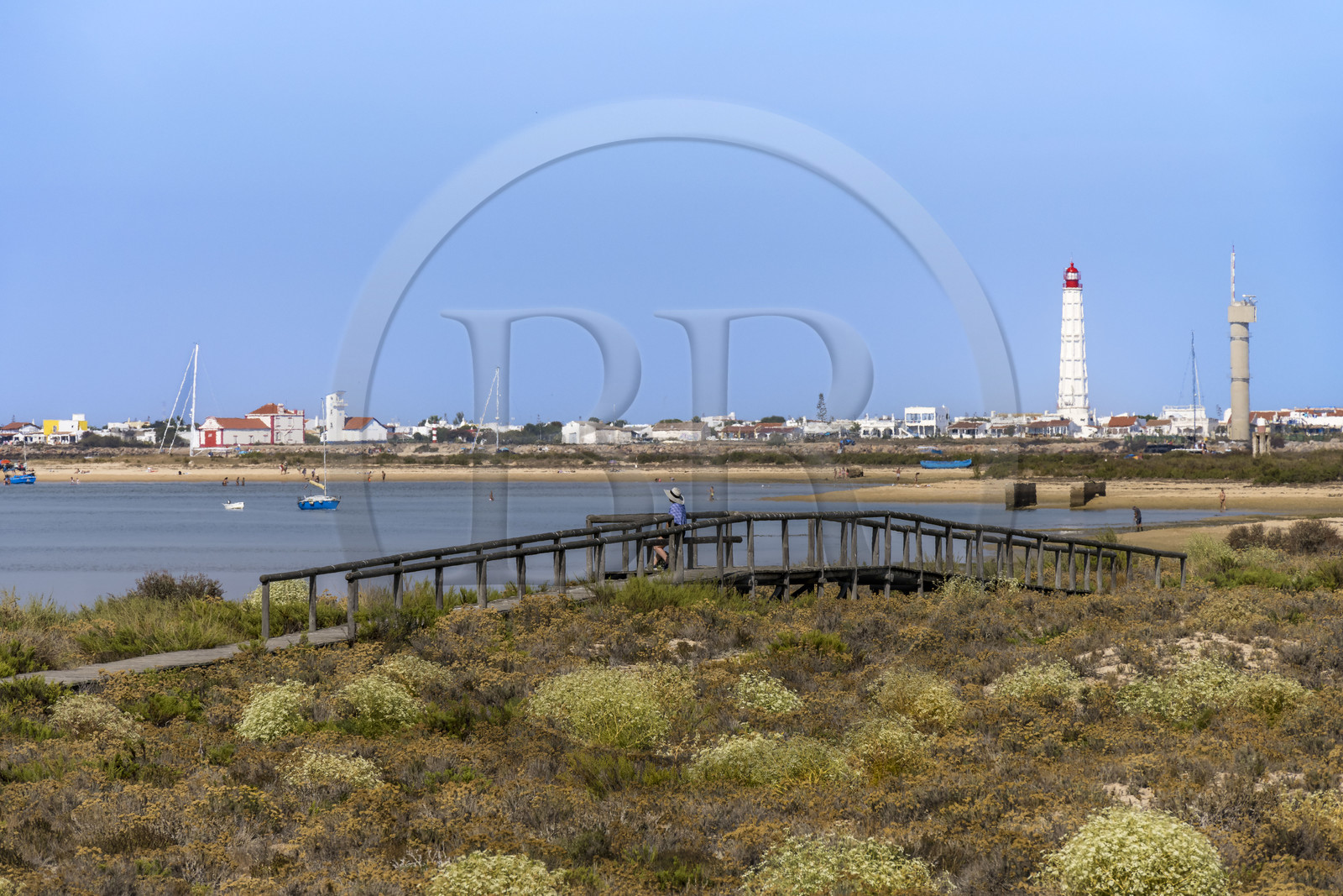 Portugal, Algarve, Parc naturel de la Ria Formosa, Faro, chemin de planches de bois sur l'Ile de Barreta ou Deserta (Ilha da Barretta ou Deserta), le phare de Ilha do Farol sur Ilha da Culatra en arrière plan