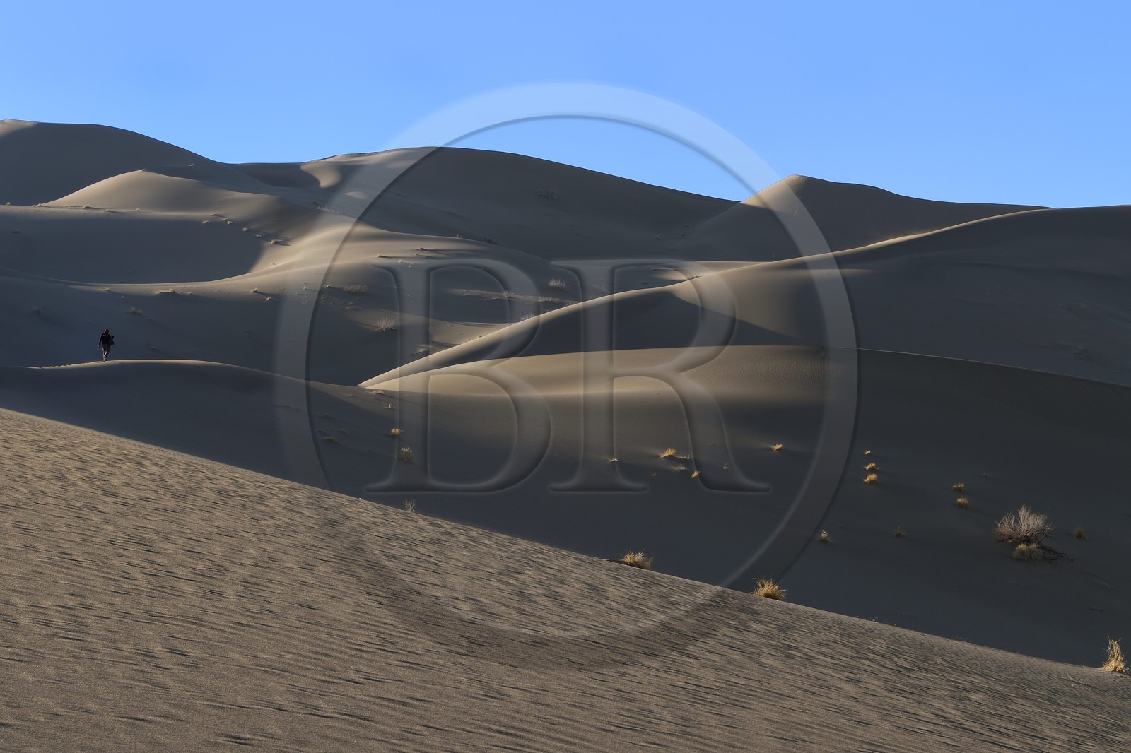 Iran, Province de Yazd, désert du Dasht-e Kavir, Moghestan, randonnée dans le massif dunaire dont la plus haute dune atteint les 200 mètres