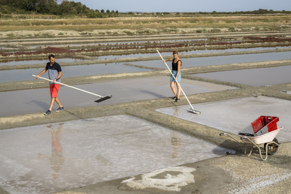 France, Charente Maritime, Port des Barques, Ile Madame, the Ile Madame Aquaculture Farm, Jean Philippe and Gaelle Mineau harvest salt from their saltworks