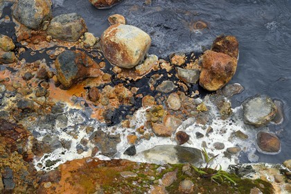Caribbean, Dominica Island, Castle Bruce, Morne Trois Pitons National Park listed as World heritage by UNESCO, Valley of Desolation, river of hot springs, whose unique color is due to the presence of calcium, carbon, sulfur and iron, on the trail leading to Boiling Lake