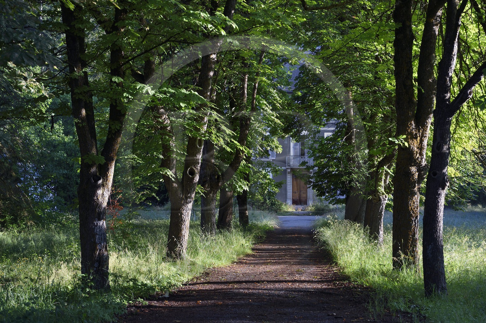 France, Alpes-de-Haute-Provence (04), vallée de l'Ubaye, Barcelonnette, Villa mexicaine sur l'avenue de la Libération, propriété aujourd'hui de l'ONF