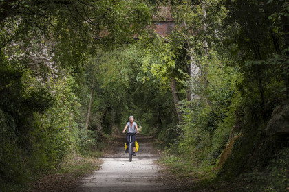 France, Charente Maritime, Saint Agnan, cyclist on the cycle route in the Bois du Chay towards Trizay Abbey