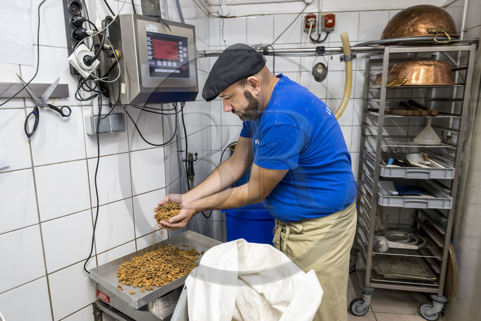 France, Vaucluse (84), Saint Didier, dans l'atelier de fabrication des Nougats Silvain, paysans nougatiers, Charles-Henri Bagnol confectionne une plaque de nougat noir, pesée des amandons grillés