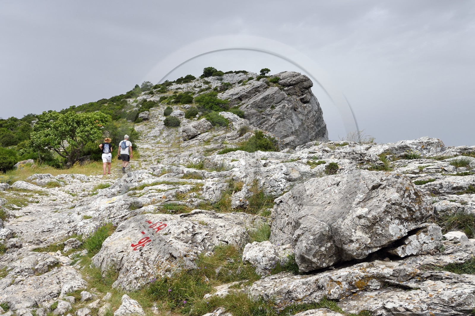 France, Var (83), Plan-d'Aups-Sainte-Baume, parc naturel régional de la Sainte-Baume, Massif de la Sainte-Baume, randonneurs au col du Saint-Pilon sur le GR 98, le Saint-Pilon en arrière plan