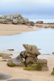 France, Cotes-d'Armor, Cote de Granit Rose (the Pink Granite coast), Tregastel, Renote island