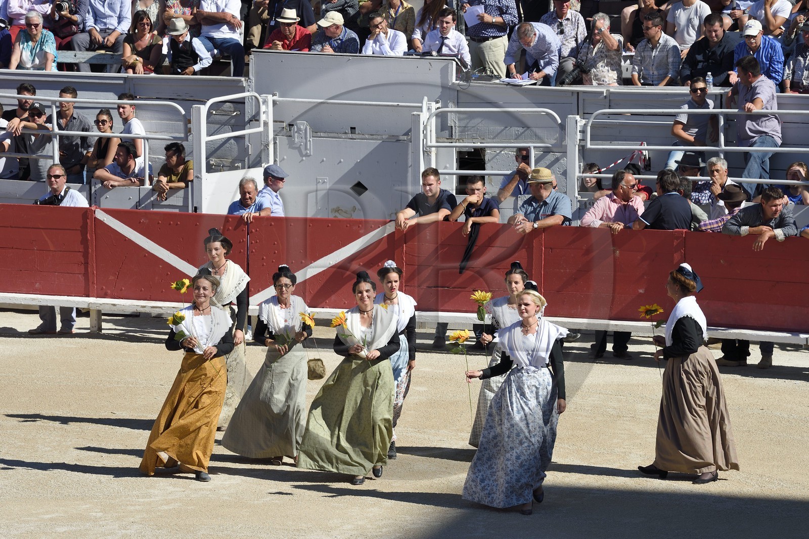 France, Bouches-du-Rhône (13), Arles, spectacle précédant la course camarguaise  de la Cocarde d'Or aux Arènes France, Bouches-du-Rhône (13), Arles, spectacle précédant la course camarguaise  de la Cocarde d'Or aux Arènes