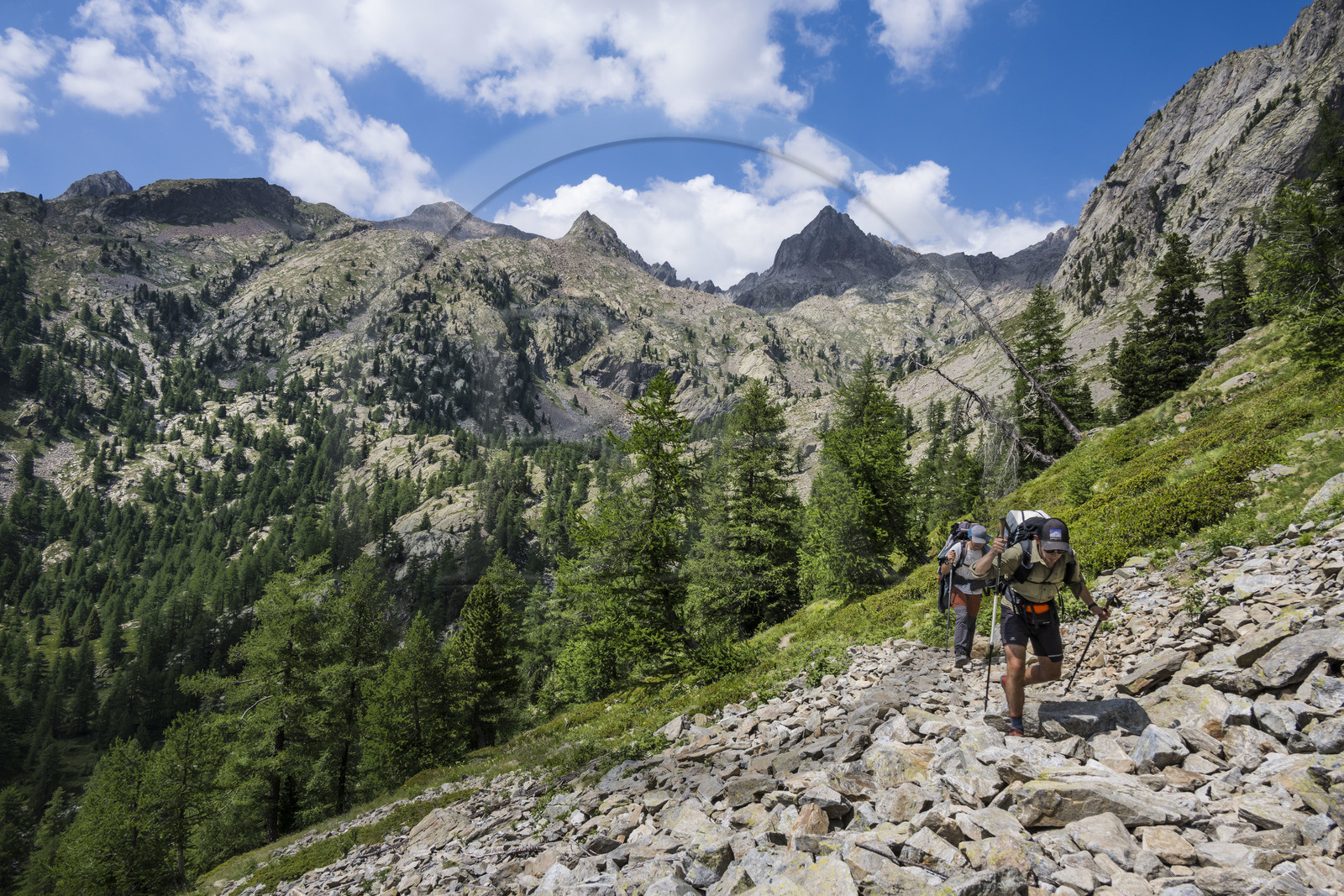 France, Alpes-Maritimes (06), parc national du Mercantour, Haute-Vésubie, Saint-Martin-Vésubie, Val du Haut Boréon, randonneurs en provenance du refuge de Cougourde et traversant un pierrier en marche pour le lac de Trécolpas, le Mont Pelago à gauche et la Cime Guilié (2999m) à droite en arrière-plan