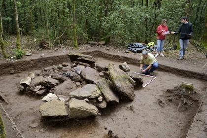 France, Morbihan, Tredion, Coeby forest, excavations at the megalithic site discovered by archaeologist Philippe Gouezin