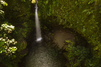 Caribbean, Dominica Island, Castle Bruce, Morne Trois Pitons National Park listed as World heritage by UNESCO, in the tropical undergrowth, Emerald Pool and its waterfall (aerial view)