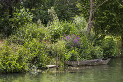 France, Deux-Sèvres, le Marais Poitevin, Green Venice, Coulon, labelled Les Plus Beaux Villages de France (The Most Beautiful Villages of France), flat-bottomed boat on the banks of the Sèvre Niortaise