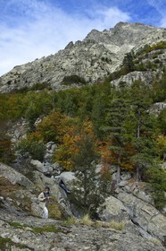 France, Haute Corse, Vivario, hiking on the GR 20, between Onda refuge and Vizzavona, Vizzavona forest, Englishmen cascades, waterfalls group in the Agnone valley under the Monte d'Oro
