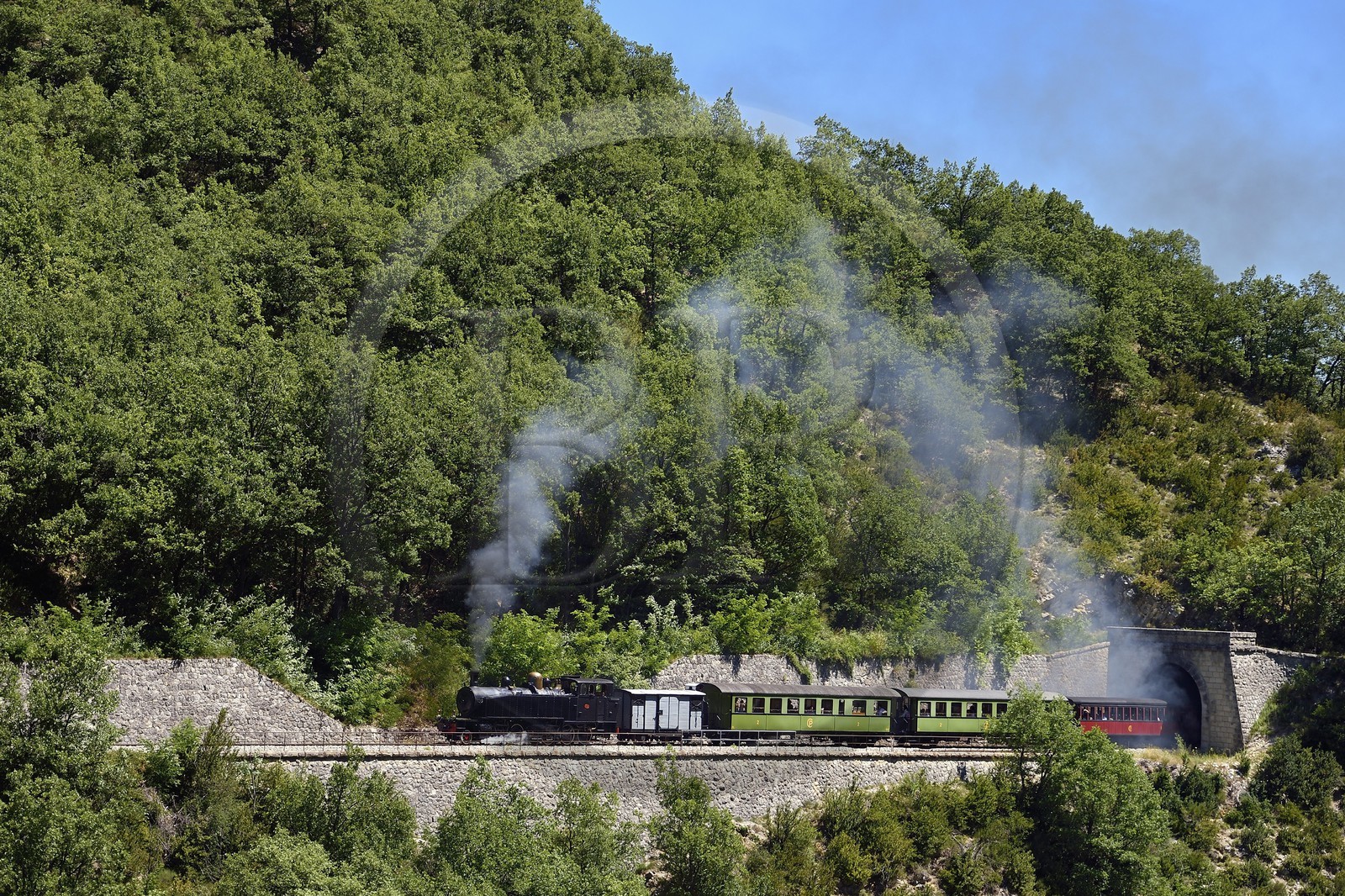 France, Alpes-de-Haute-Provence (04), les scaffarels vers Annot, le Train des Pignes sort d'un tunnel