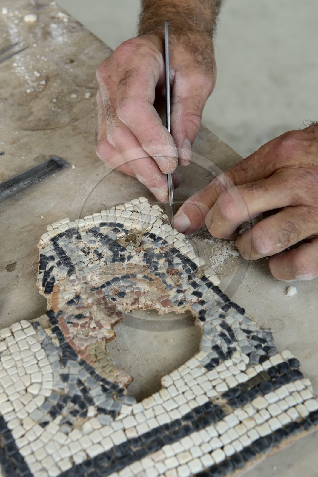 France, Rhône (69), Saint-Romain-en-Gal, atelier de restauration de mosaïques du musée gallo-romain de Saint-Romain-en-Gal, restauration d'un masque du IIème siècle de la maison au cinq mosaïques