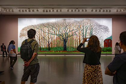 France, Paris, Bois de Boulogne, the Louis Vuitton Foundation by architect Frank Gehry, David Hockney exhibition 25, Bigger Trees near Warter or ou Peinture sur le Motif pour le Nouvel Age Post-Photographique (2007), huile sur 50 toiles