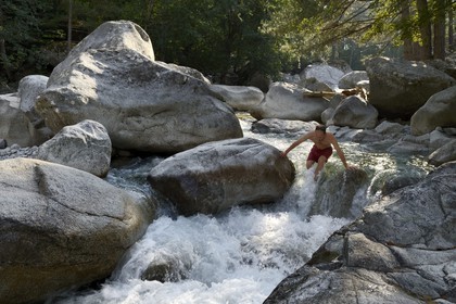 France, Haute-Corse (2B), Corte, Vallée de la Restonica