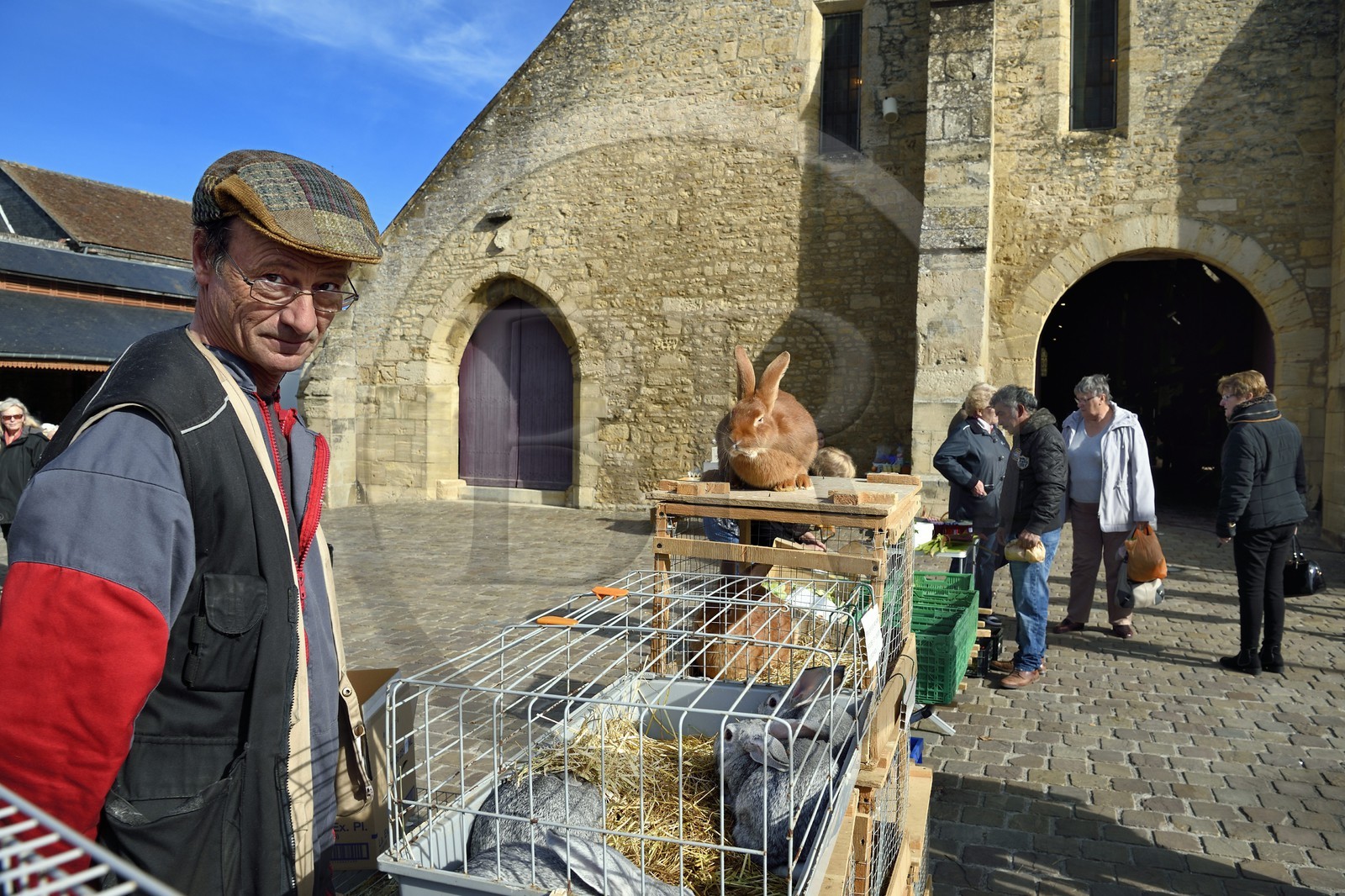 France, Calvados (14), Pays d'Auge, Saint-Pierre-sur-Dives, jour de marché devant les halles du XIe siècle reconstruites au XVe siècle, l'éleveur Pierre-Alain vends ses lapins vivants