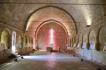 France, Var, the Thoronet cistercian abbey, the monks' dormitory