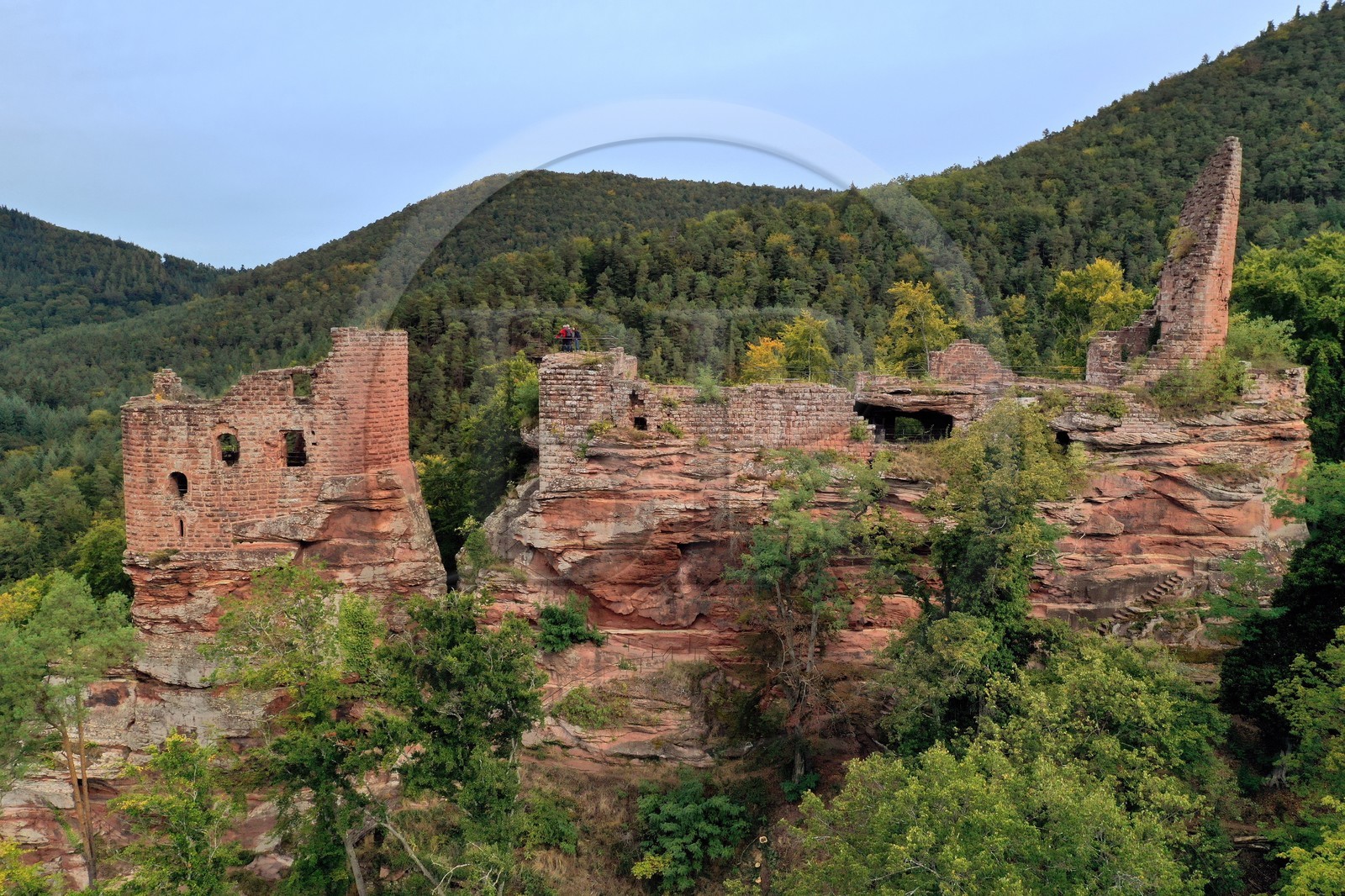 France, Bas-Rhin (67), Parc naturel r