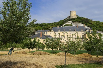 France, Val d'Oise, French Vexin Natural Park, la Roche-Guyon village, labelled Les Plus Beaux Villages de France (The Most Beautiful Villages of France), the castle
