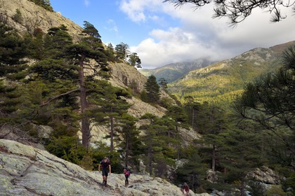 France, Haute Corse, Vivario, hiking on the GR 20, between Onda refuge and Vizzavona, Vizzavona forest, Englishmen cascades, waterfalls group in the Agnone valley