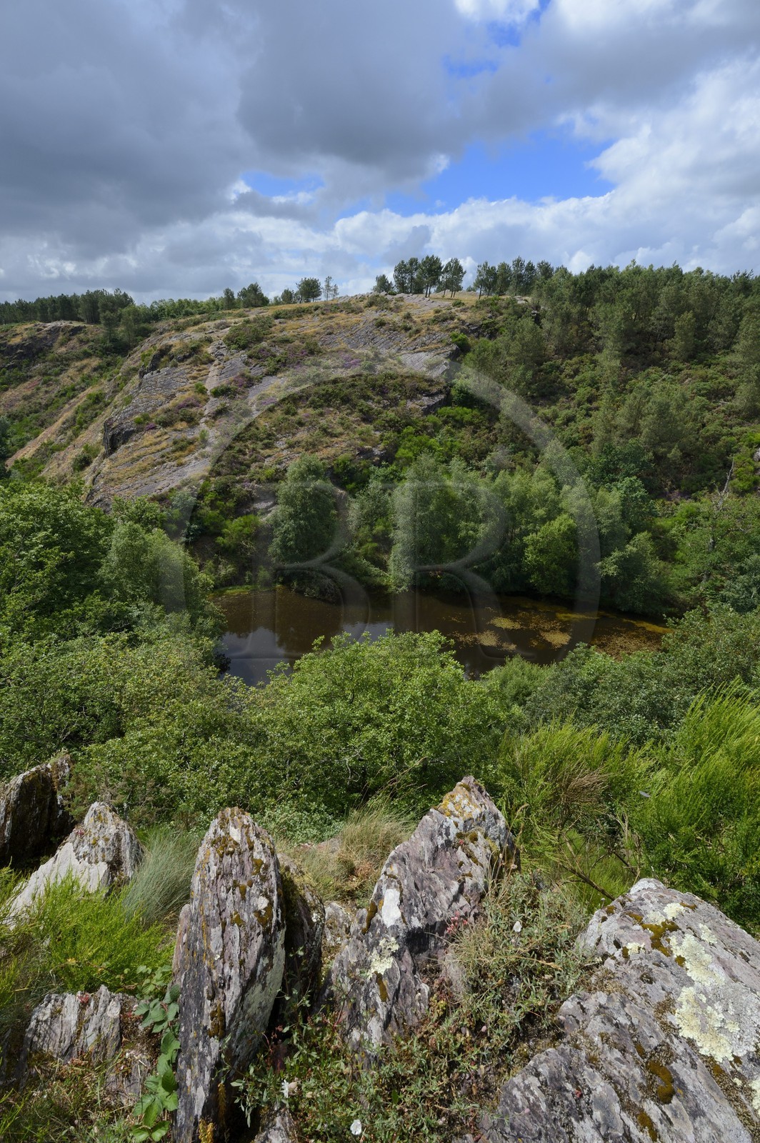 France, Morbihan (56), forêt de Brocéliande, Tréhorenteuc, la Mare aux Fées du Val sans Retour où selon la légende la Fée Morgane retenait ses amants infidèles