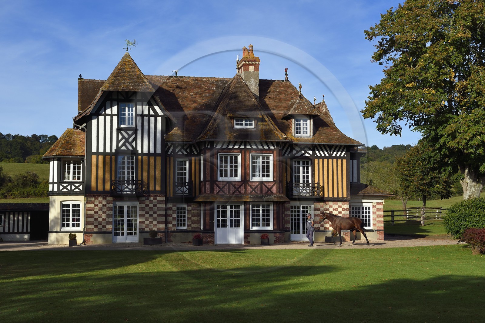 France, Calvados (14), Pays d'Auge, Beuvron-en-Auge, labellisé Les Plus Beaux Villages de France, manoir du Haras de Sens, le cheval Gold de Padd (fils de l'étalon Ready Cash) tenu par le stud groom Dominique Blachet France, Calvados (14), Pays d'Auge, Beuvron-en-Auge, labellisé Les Plus Beaux Villages de France, manoir du Haras de Sens, le cheval Gold de Padd (fils de l'étalon Ready Cash) tenu par le stud groom Dominique Blachet