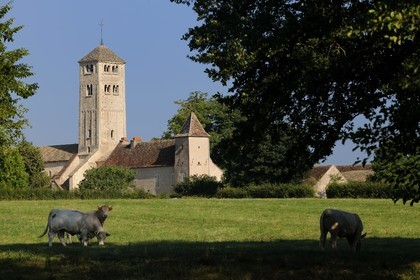 France, Saône-et-Loire (71), Chapaize, église romane Saint-Martin