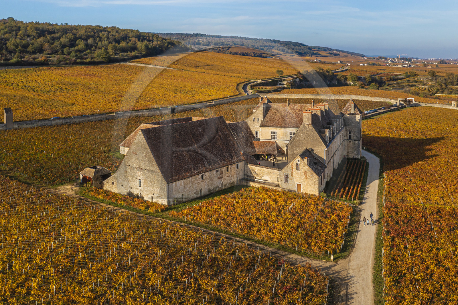 France, Côte-d'Or (21), Paysage culturel des climats de Bourgogne classés Patrimoine Mondial de l'UNESCO, Vougeot, Route des Grands Crus, le vignoble et le chateau du Clos de Vougeot (vue aérienne)