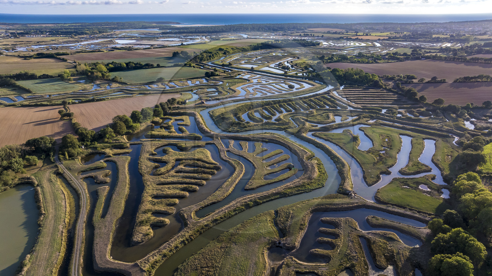 France, Vendée (85), Talmont-Saint-Hilaire, marais aménagés pour la pisciculture de dorades, mulets et anguilles