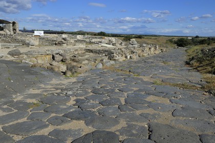 Italy, Lazio , Province of Viterbo, Montalto di Castro, ancient Etruscan city of Vulci, remnant of cobbled streets