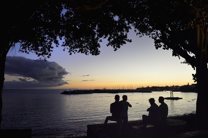 France, Ile de la Reunion, ville de Saint-Pierre, quartier de Terre Sainte