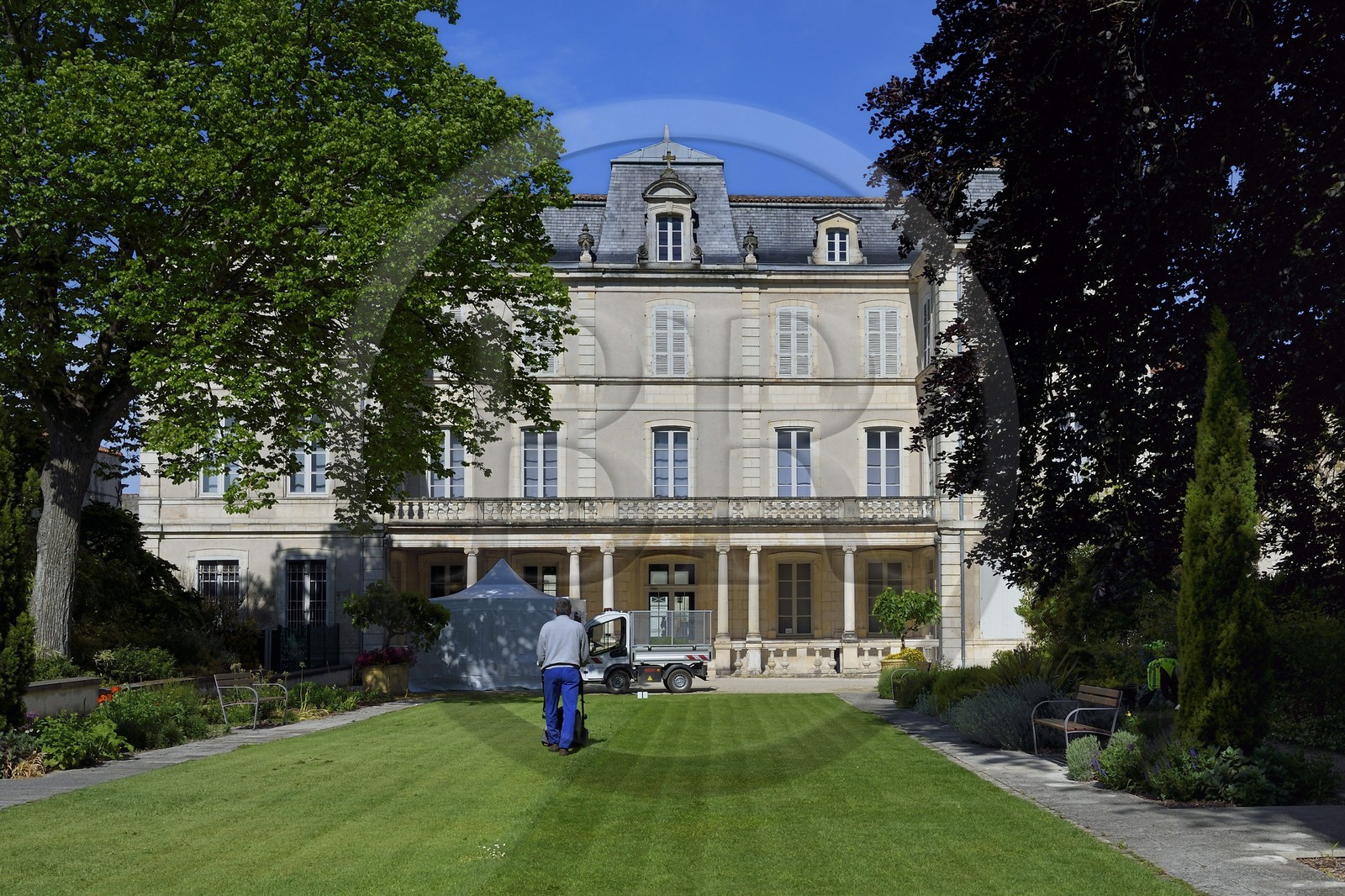 France, Charente-Maritime, La Rochelle, the Muséum d'histoire naturelle (natural history museum or museum Lafaille)