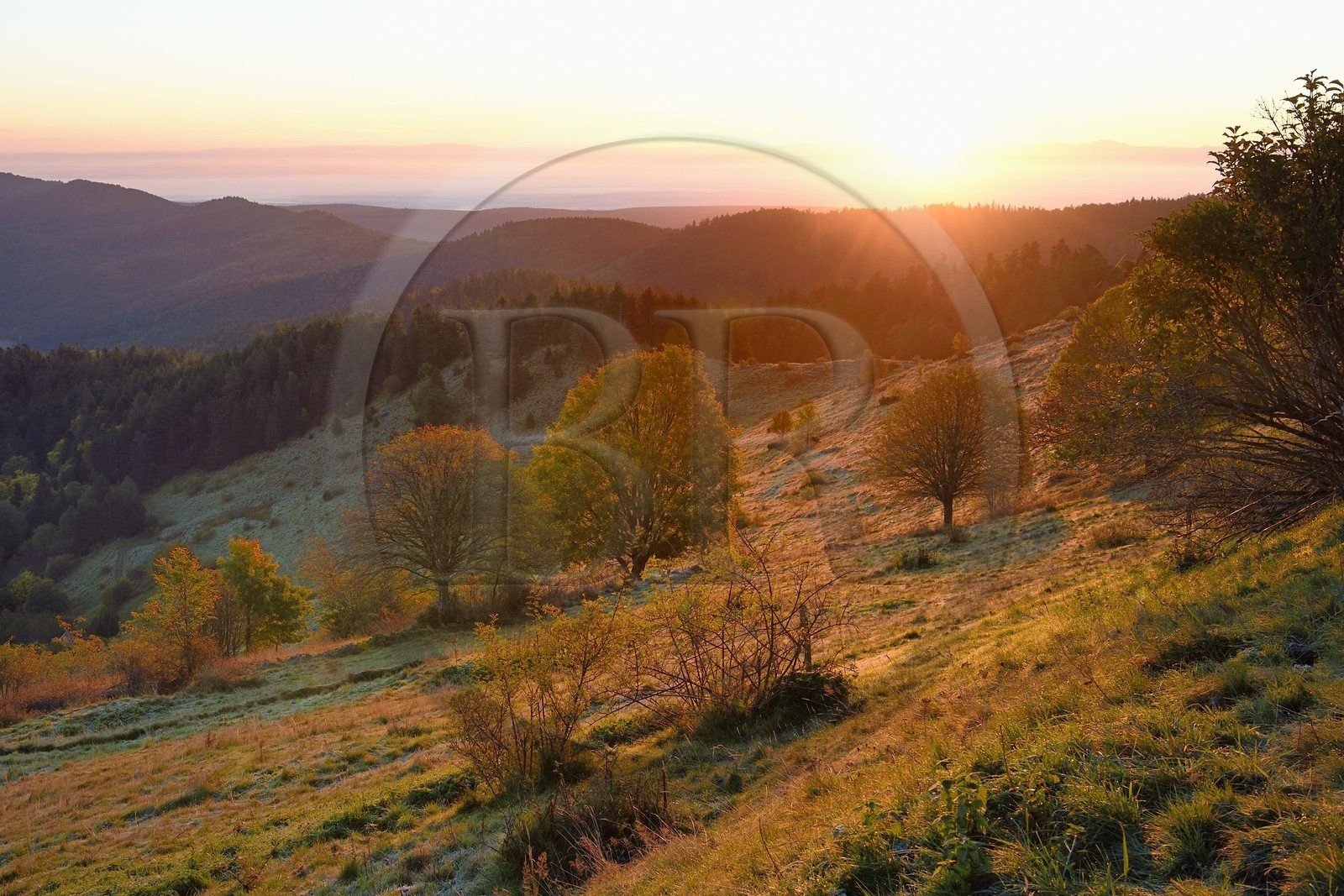 France, Haut-Rhin (68), Wasserbourg, massif des Vosges en bordure de la plaine d'Alsace à la Ferme-auberge Buchwald sur le Petit Ballon