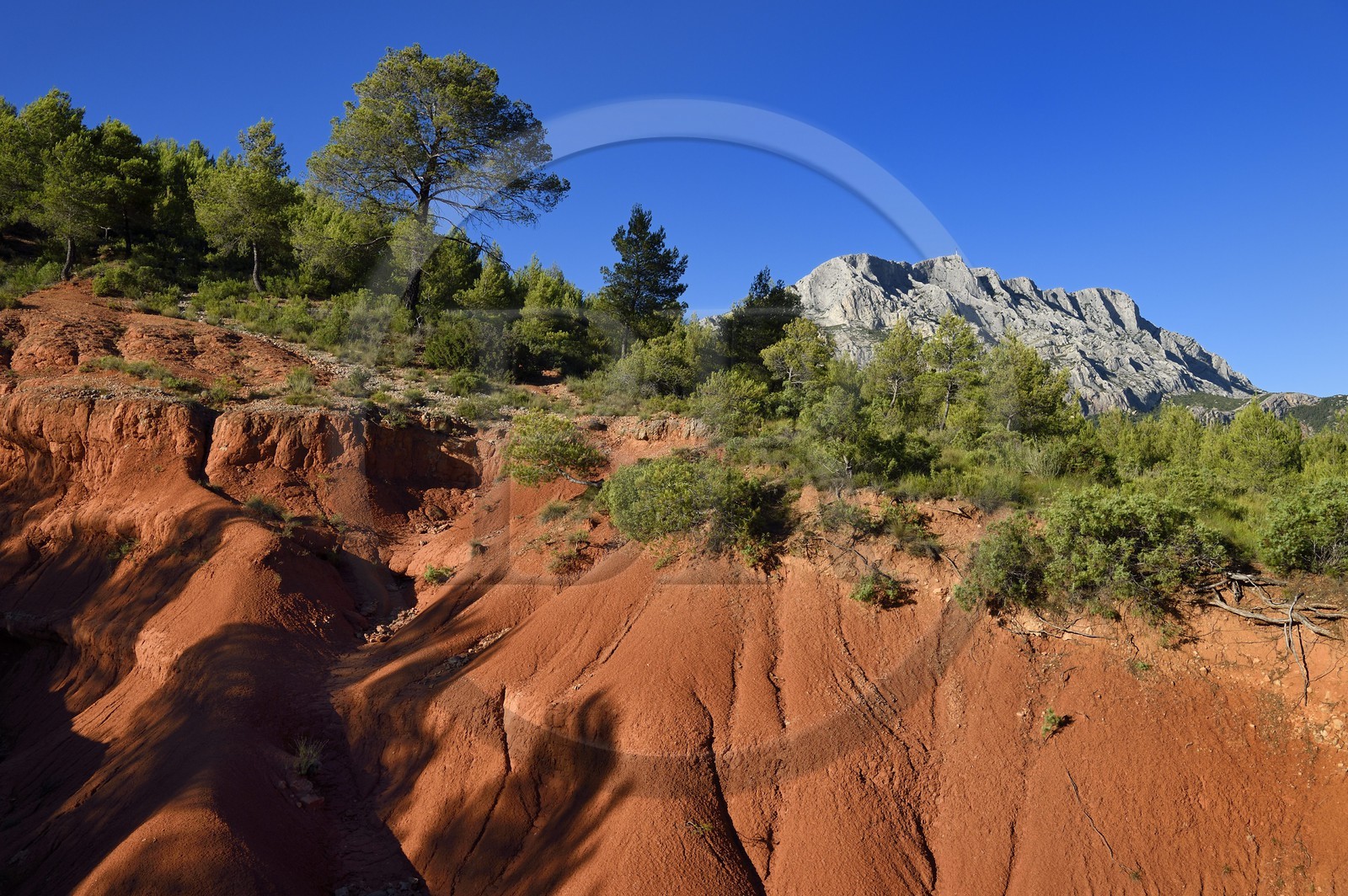 France, Bouches-du-Rhône (13), Pays d'Aix en Provence, vers le Tholonet, la Montagne Sainte Victoire, route Cézanne
