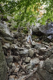 France, Haute Corse, Vivario, hiking on the GR 20, between Onda refuge and Vizzavona, Vizzavona forest, Englishmen cascades, waterfalls group in the Agnone valley