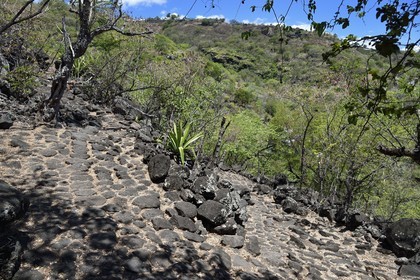 France, Ile de la Reunion, La Possession, le chemin Crémont aussi appelé chemin des Anglais, ancienne route pavé de basalte depuis 1775 qui longe le bord de la falaise de la cote nord-ouest devenu sentier de randonnée
