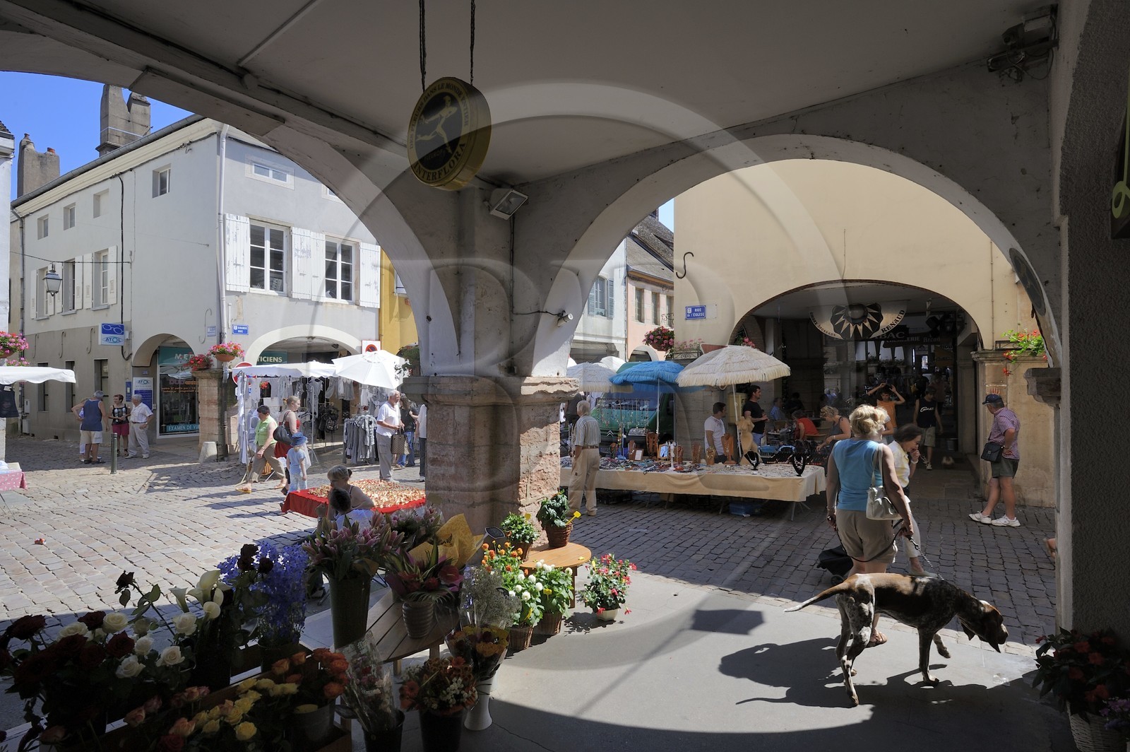 France, Saône et Loire (71), Louhans, le marché du lundi, les arcades de Grande-Rue