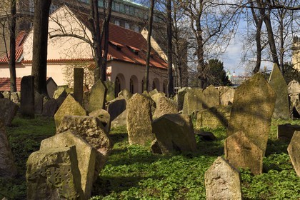 République Tchèque, Prague, centre historique classé Patrimoine Mondial de l'UNESCO, quartier juif de Josefov, cimetière juif et la synagogue Pinkas en arrière plan