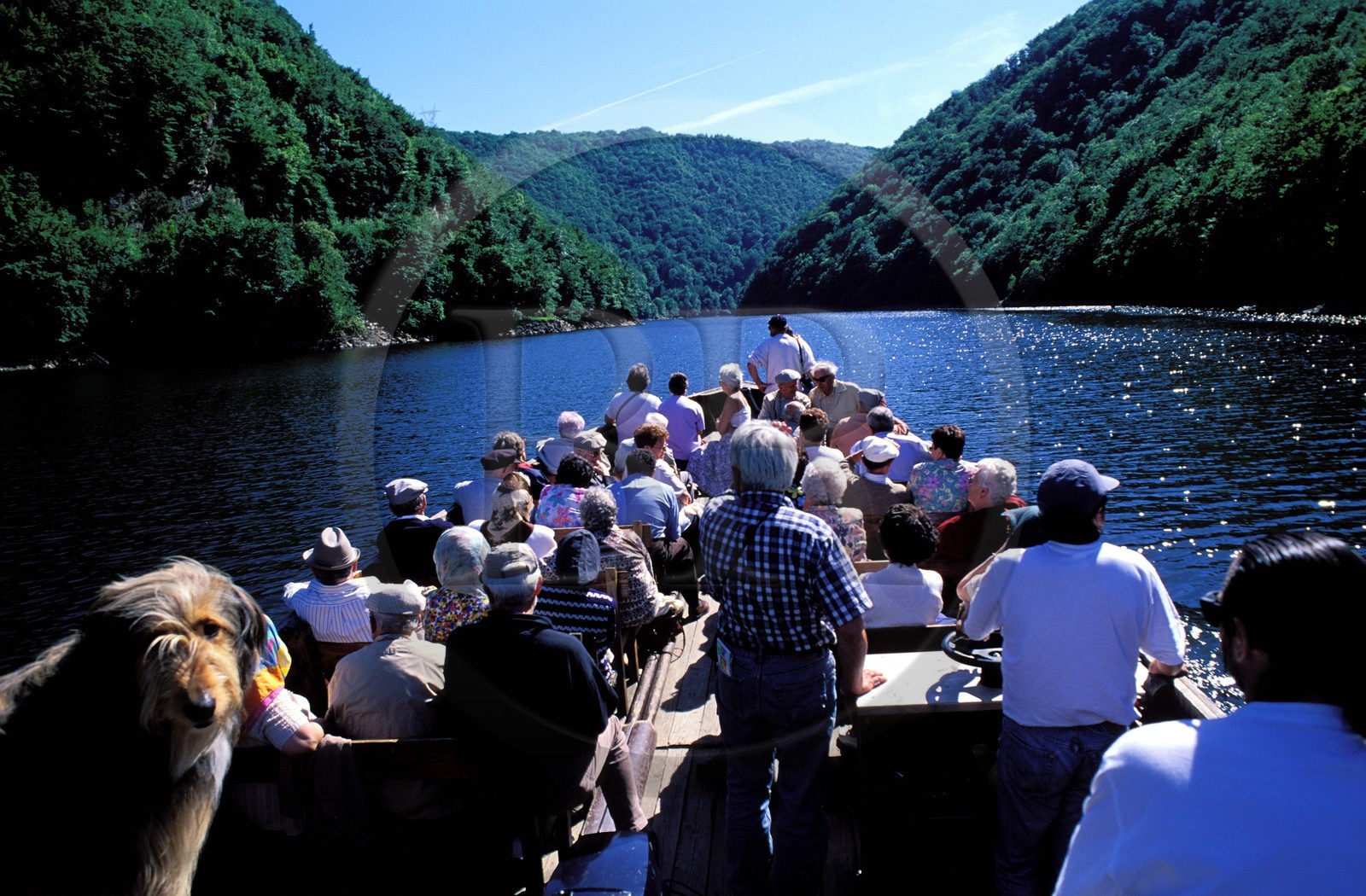 France, Corrèze (19), guimbarde sur la rivière Dordogne