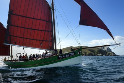 France, Côtes-d'Armor (22), Perros-Guirec, archipel et réserve ornithologique de Sept-Iles,  le voilier traditionnel Sant C'hireg (Saint Guirec) devant l'Ile Rouzic, colonie de fous de Bassan (Morus bassanus)