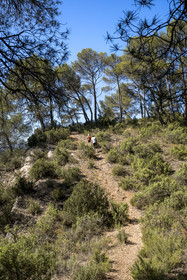France, Bouches-du-Rhône (13), Aix en Provence, randonneurs sur le plateau de Bibemus
