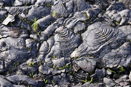 France, Reunion island (French overseas department), Piton de la Fournaise, listed as World Heritage by UNESCO volcano, the Grand Brule, lava flow of 2004