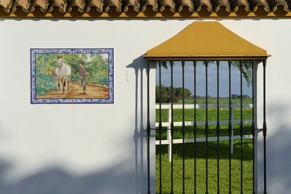 Espagne, Andalousie, province de Séville, Utrera, le haras Ayala (Yeguada Ayala)