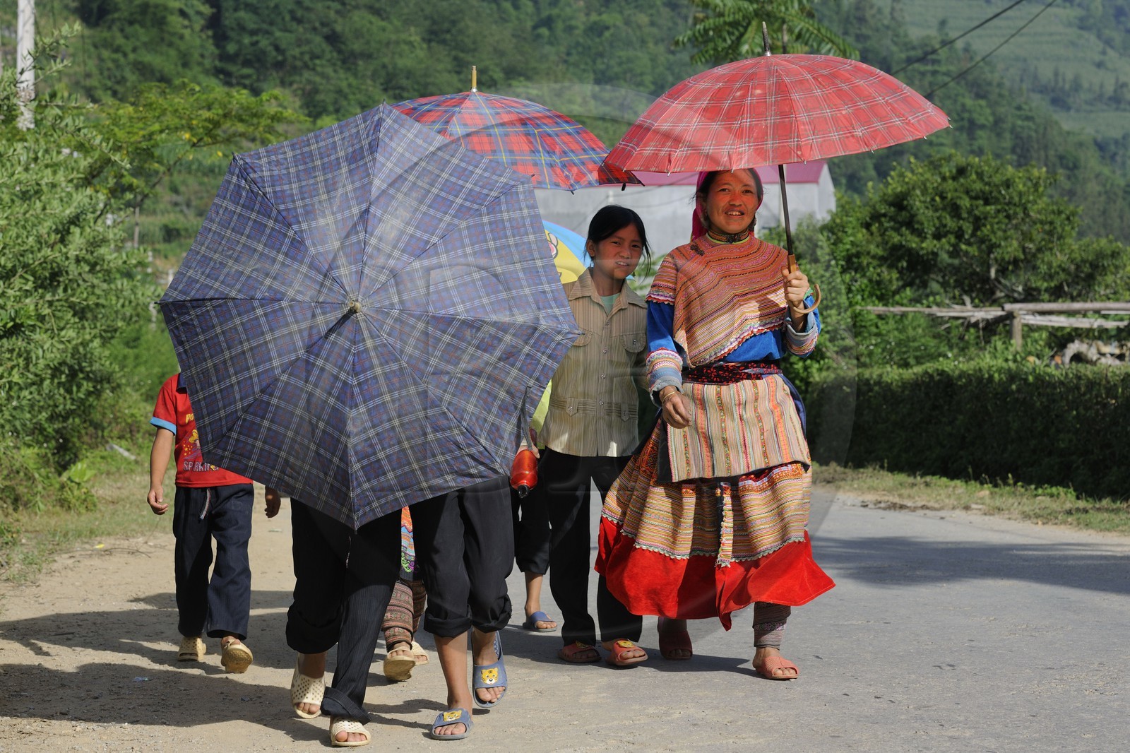 Vietnam, province de Lao Cai, région de Bac Ha, jeunes filles de la minorité Hmong Fleur