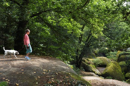 France, Finistère (29), parc naturel régional d'Armorique, Huelgoat, chaos granitique de la forêt du Huelgoat