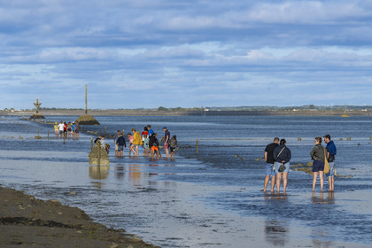 France, Vendée (85), île de Noirmoutier, Barbatre, promeneurs sur le passage du Gois à marée montante, chaussée submersible qui relie l'île au continent à marrée basse